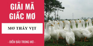 giải mã nằm mơ thấy vịt